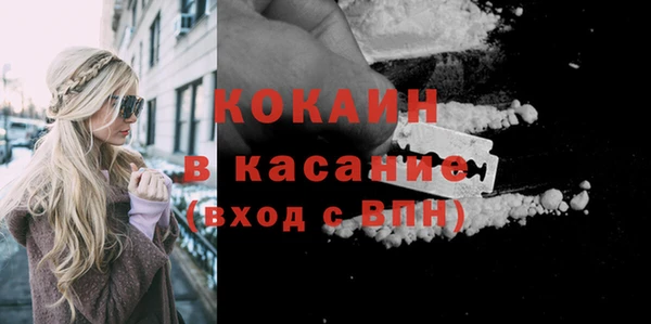 твердый Алексеевка