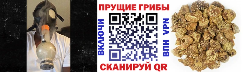 Галлюциногенные грибы Cubensis Севастополь