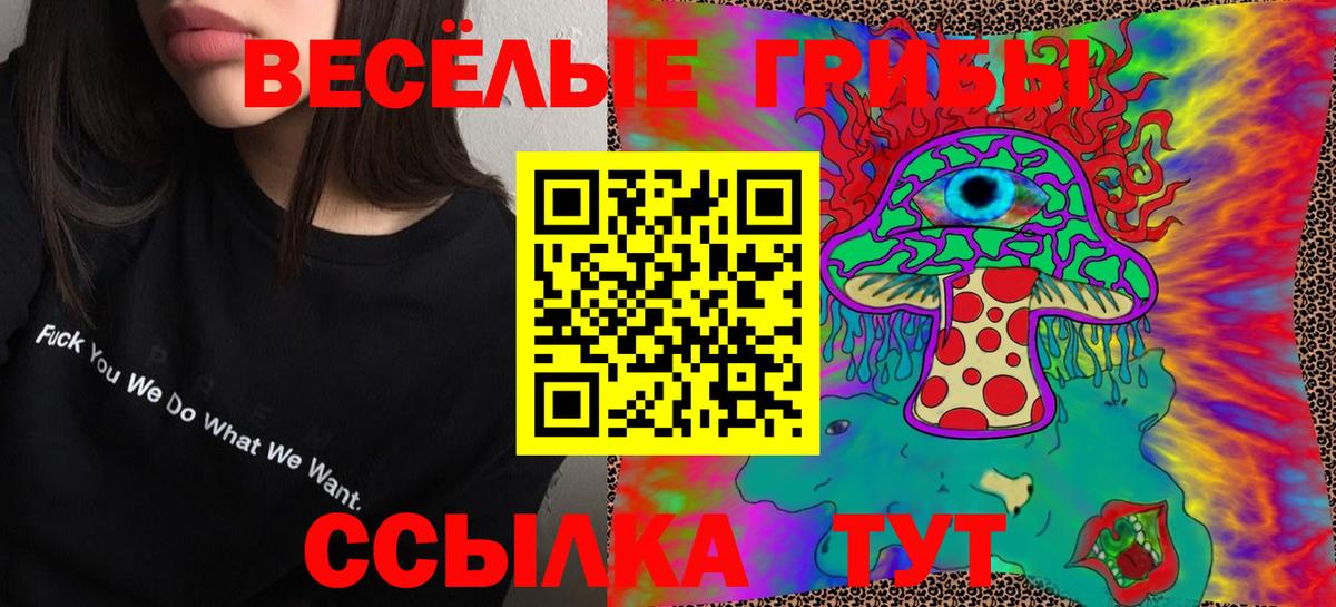 Севастополь  Псилоцибиновые грибы GOLDEN TEACHER  Вход с VPN 